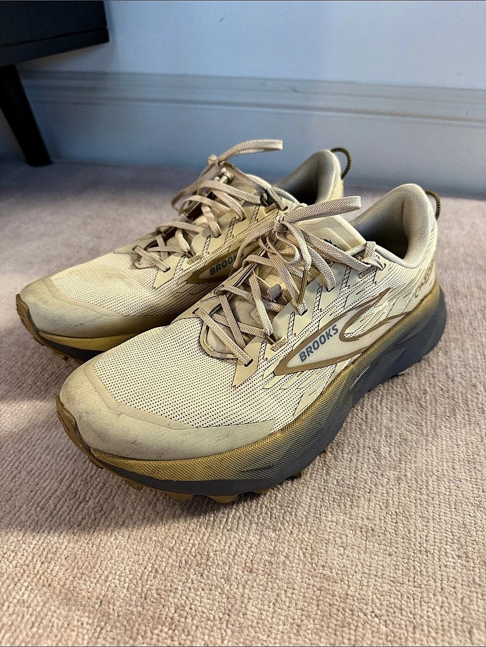 Brooks Cascadia 19 Women's Trail Running Shoes
